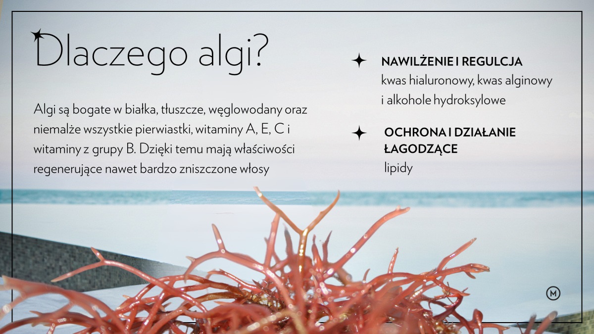 Algi morskie w kosmetykach trychologicznych Montibello
