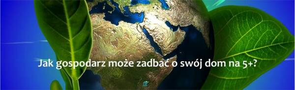Jak mogę być eko kupując kosmetyki to włosów